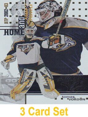 Tomas Vokoun Hockey Card Collection